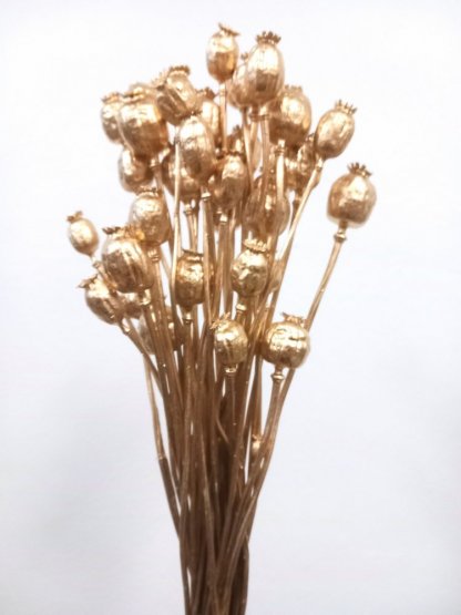 Dekorativne sušené makovice zlaté, zväzok od 50g