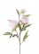Pivonka bielá 'real touch' umelá 2 kvety (Ø 10 a Ø 8cm) , 1 púčik, 73cm