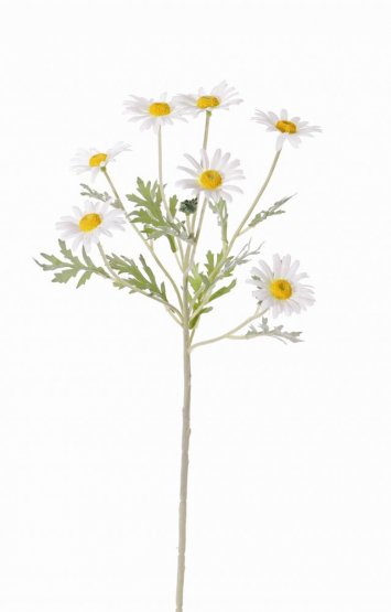 Kopretina 6 květů (Ø 5cm), hebké listy, 57cm