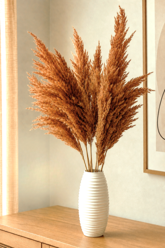Sušená pampová tráva (pampas) terracotta 10ks, 50-60cm Sušená pampová tráva (pampas) terracotta 10ks, 50-60cm