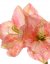 Amarylis 'exclusive' umelý - růžový, 2 kvety 70cm, jedno poupě