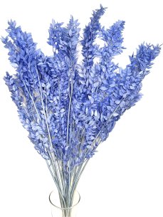 Stabilizovaný ruskus (ruscus) kytice/svazek pomněnková modrá