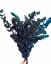 Stabilizovaný eukalyptus ESPIRAL, kytice/svazek lahvově zelený/temně modrý