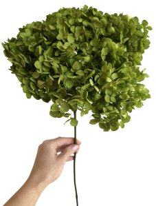 Stabilizovaná hortenzie CABEZA zelená XL