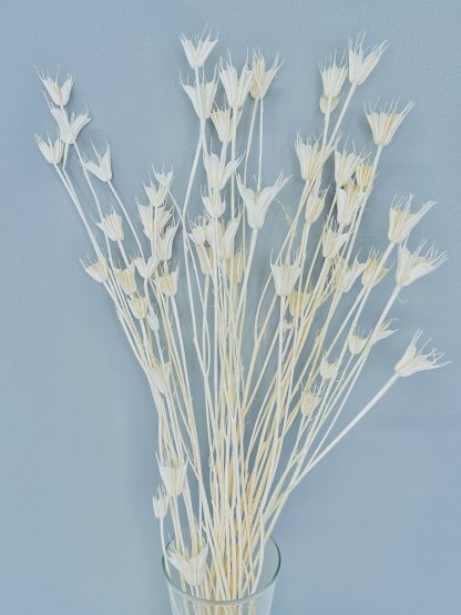 Sušená Nigella Oriental bělená svazek/kytice