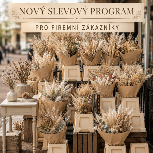 VÝHODNEJŠIE PODMIENKY PRO FIRMY