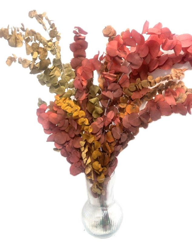 Stabilizovaný eukalyptus STUARTINA, kytica/zväzok mix barev - Balenie: 70g