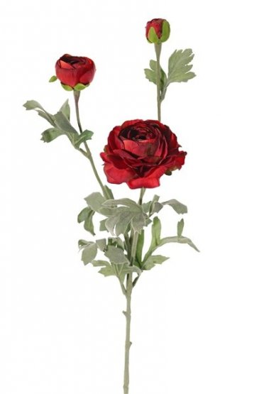 Ranunkulus/pryskyřičník vínový květ Ø9cm, 2 poupata, hebký stonek s listy, 66cm
