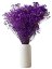 Nevěstin závoj/stabilizovaná Gypsophila svazek/kytice TMAVĚ FIALOVÁ ŽÍHANÁ