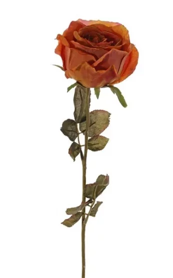 Růže vzhled sušená, nádech do oranžova, Ø 11cm, 66cm