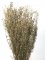 Řeřicha (Lepidium) sušená přírodní zelená svazek 70g