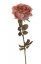 Růže vzhled sušená, nádech do starorůžova, Ø 11cm, 66cm