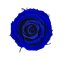 Stabilizovaná ruža Rose Amor M+ tmavo modrá/indigo blue (hlava)