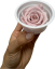 Stabilizovaná ruža KIARA XL nostalgia rose (hlava)
