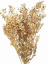Stabilizovaný ruskus (ruscus) kytice/svazek zlatý