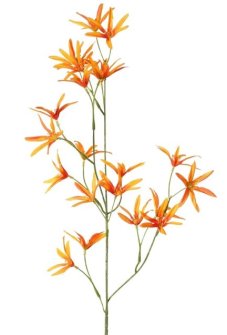 Tvídia vetvička ORANŽOVÁ, 21 kvetov, 73cm