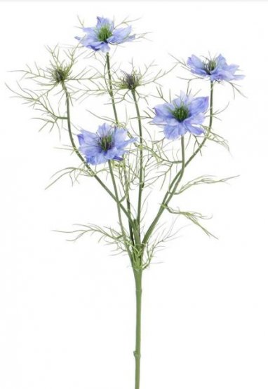Černucha damašská blankytně modrá/Nigella, stonek se 4 květy, 2 pupeny, 66cm