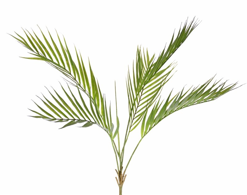 Palma areková, 5 palmových listov, detailné spracovanie, 76cm