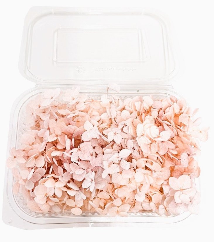 Stabilizovaná hortenzie CABEZA soft pink KVĚTY 15g Stabilizovaná hortenzie CABEZA soft pink KVĚTY 15g