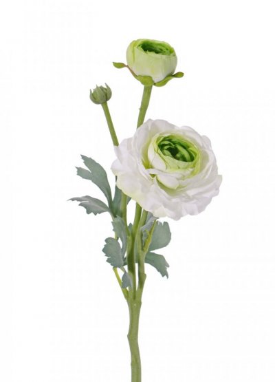 Ranunkulus/pryskyřičník květ Ø9cm, poupě Ø4cm, pupen, hebký stonek s listy, 40cm   BÍLÝ