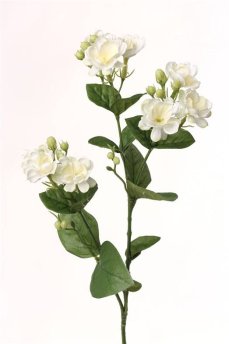 Jasmín, větvička s bílými květy 60cm
