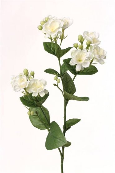 Jazmín, vetvička s bielymi kvetmi 60cm