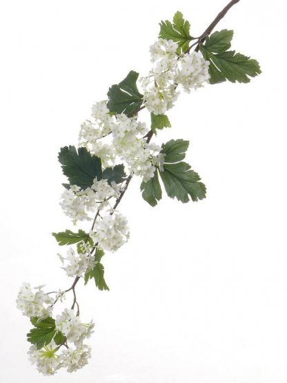 Kalina/Viburnum BÍLÁ, větev s květy a listy, 86cm