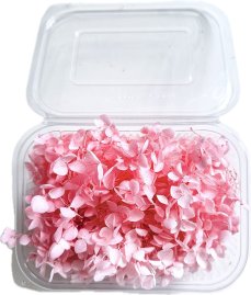 Stabilizovaná hortenzia CABEZA ružová KVETY 10g