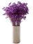 Nevěstin závoj/stabilizovaná Gypsophila zväzok/kytica FIALOVÁ