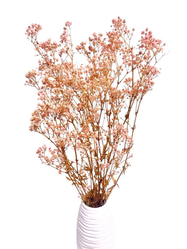 Nevěstin závoj/stabilizovaná Gypsophila zväzok/kytica SVETLO RUŽOVÁ - Balenie: 100g
