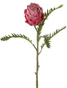Protea umělá, lehce ojíněná s listy, krásné zpracování, 63cm