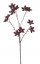 'Sušený' anýz imitace, větvička 11 květů, 63cm