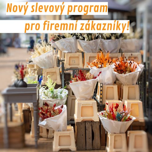 VÝHODNĚJŠÍ PODMÍNKY PRO FIRMY
